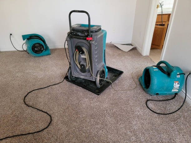 Best Water damage restoration insurance claims  in Goose Creek, SC