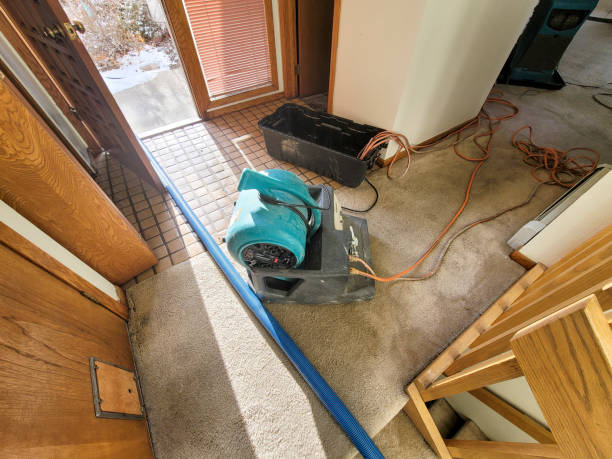 Best 24/7 water damage repair  in Goose Creek, SC