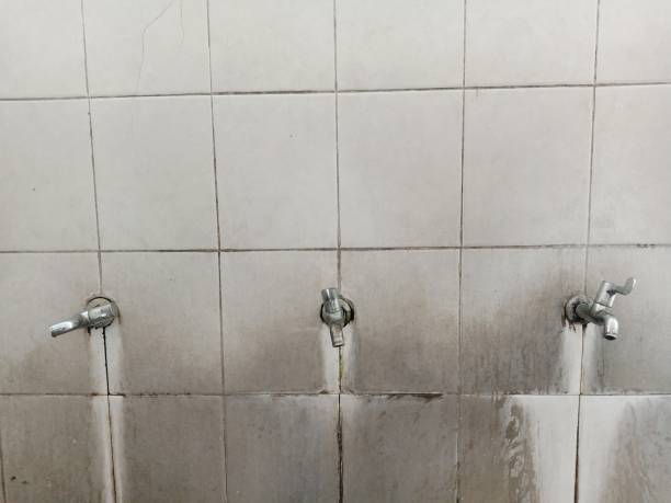 Best Flood restoration services  in Goose Creek, SC