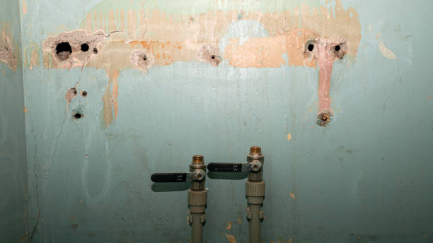 Best Basement water damage restoration  in Goose Creek, SC