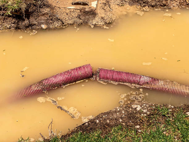 Best Water damage restoration near me  in Goose Creek, SC
