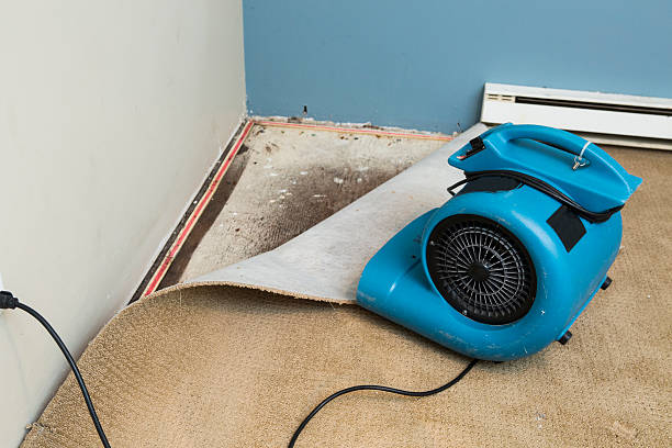 Professional Water damage restoration in Goose Creek, SC