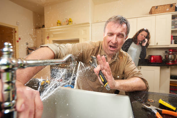 Best Carpet water damage restoration  in Goose Creek, SC